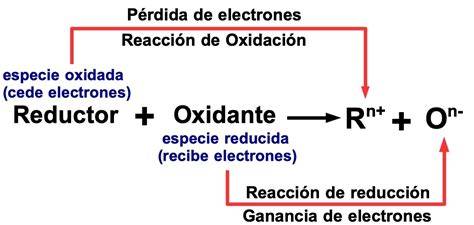 Esquema de la oxidación de alimentos
