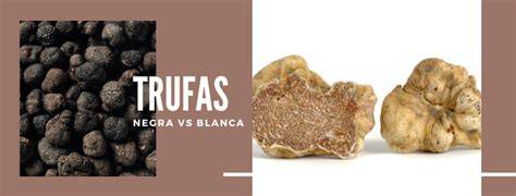 Comparación de aceites de trufa blanca y negra