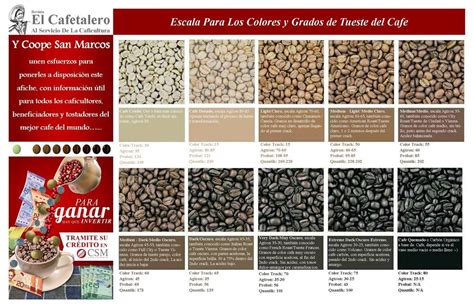Tabla comparativa de grados de tueste de café