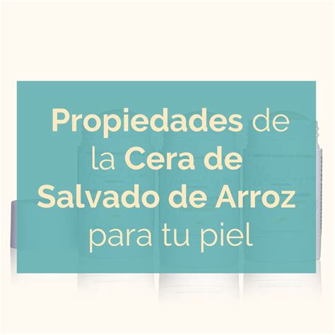 Ilustración de las propiedades de la cera de arroz