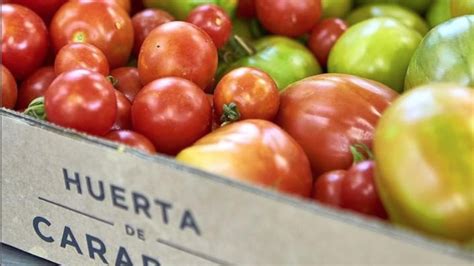 Campo español en verano con productos de la huerta