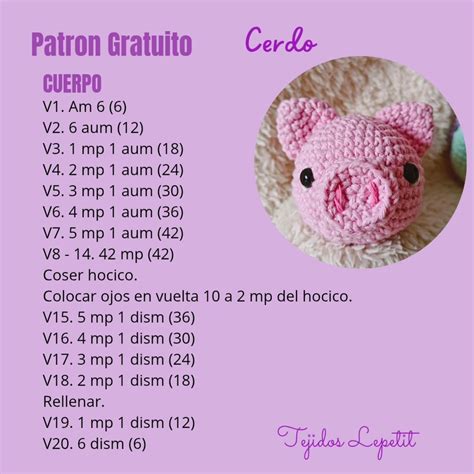 Infografía con palabras clave relacionadas con patrones de cerditos