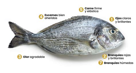 Señales de frescura en el pescado