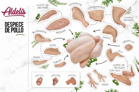 Pollo entero y sus partes: muslo, contramuslo, pechuga, ala