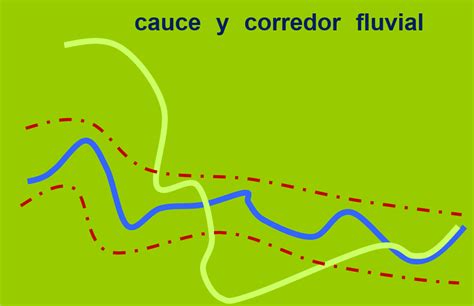 Representación del cauce del arroyo y ecosistemas asociados