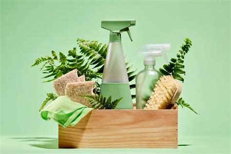 Variedad de productos de limpieza ecológicos y utensilios suaves