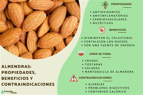 Infografía sobre los beneficios de las almendras