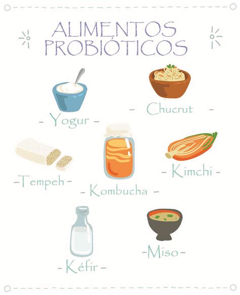 Alimentos fermentados ricos en probióticos