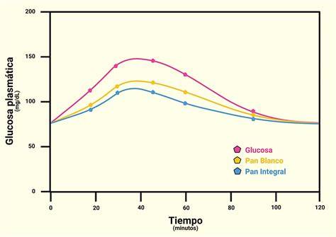 Esquema de la curva glucémica después de comer diferentes tipos de pan