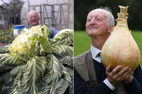 Peter Glazebrook con su coliflor gigante