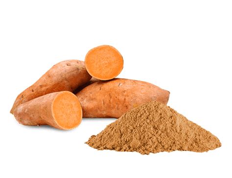 Variedad de productos horneados hechos con harina de camote