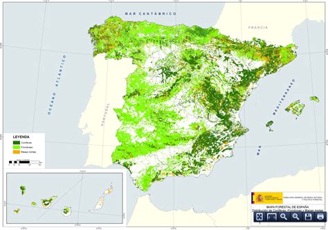 Mapa de la masa forestal de Álava