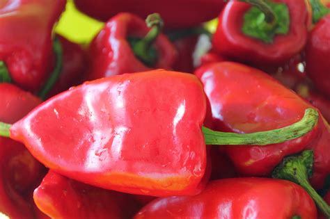 Pimientos del piquillo frescos