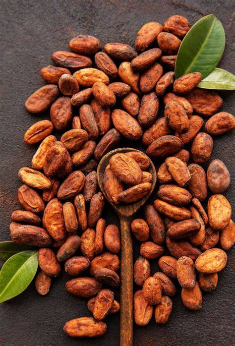 Granos de cacao sin procesar de diferentes colores