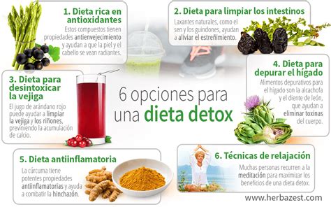 Ingredientes para una dieta detox
