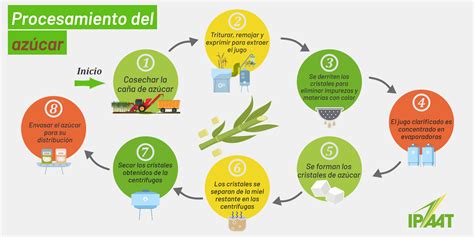 Proceso de fabricación de jugos con bajo contenido de azúcar
