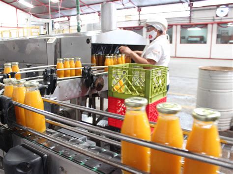 Equipos para la producción de jugos