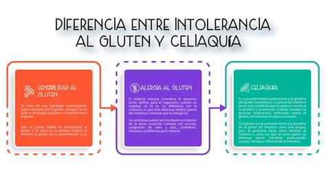Diferencias entre intolerancia al gluten y a los fructanos