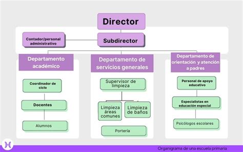 Diagrama de la estructura organizativa de una cooperativa panadera