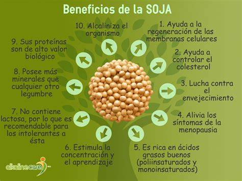 Infografía sobre los beneficios de la soya para el corazón