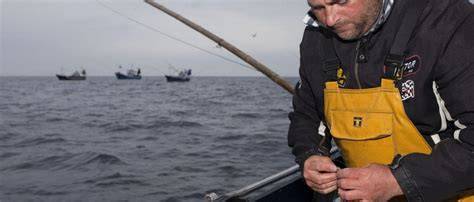Pescador seleccionando carnada para el pincho