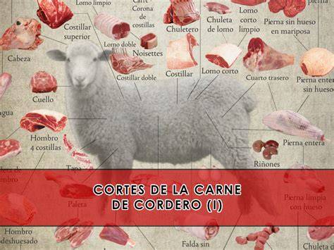 Clasificación de los cortes de carne de cordero