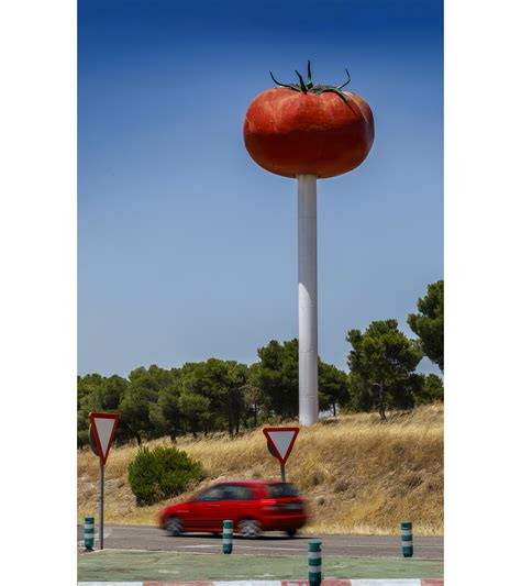 Tomate gigante en un concurso