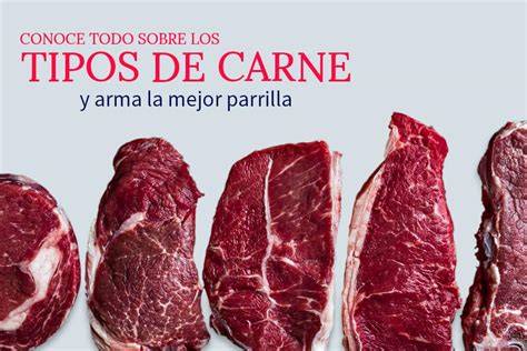 Diferentes tipos de carne para barbacoa