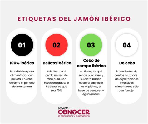 Esquema del sistema de etiquetado del jamón ibérico