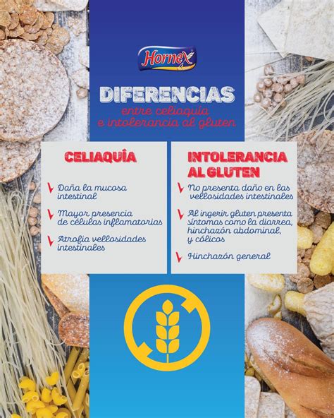 Diferencias entre celiaquía, sensibilidad al gluten e intolerancia