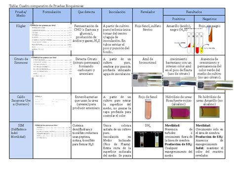Tabla comparativa de pruebas de detección de celiaquía