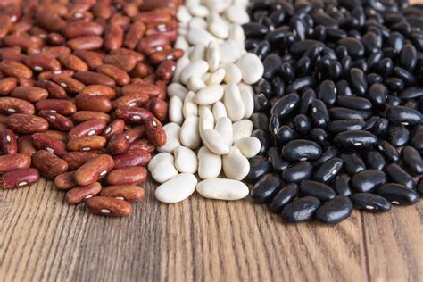 Exposición de diferentes variedades de habichuelas
