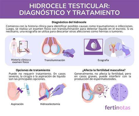 Hidrocele testicular