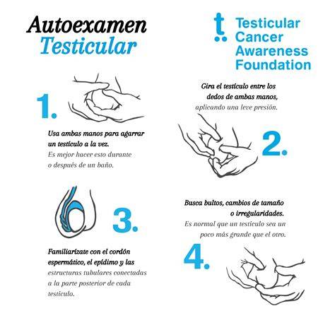 Proceso de autoexamen testicular