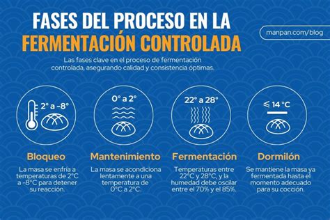 Esquema de las fases de la fermentación controlada