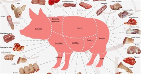 Diferentes cortes de cerdo