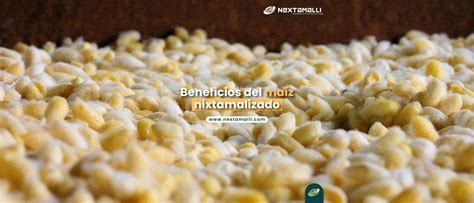 Comparación de maíz sin tratar y maíz nixtamalizado