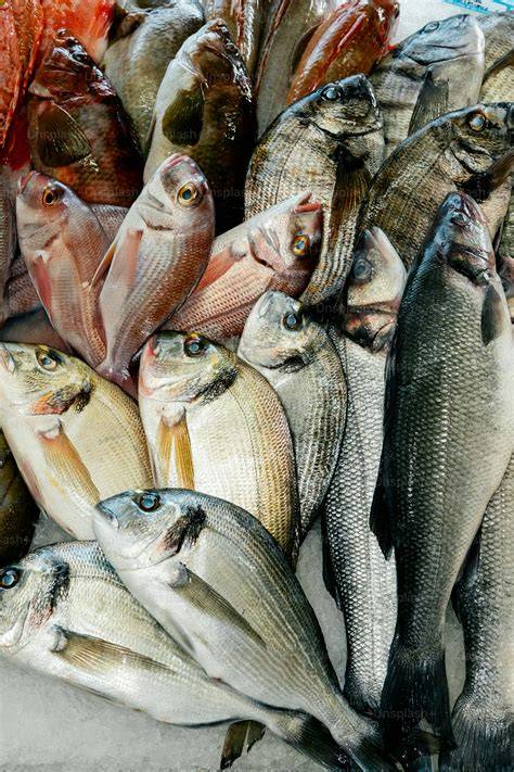 Variedad de pescado fresco para barbacoa