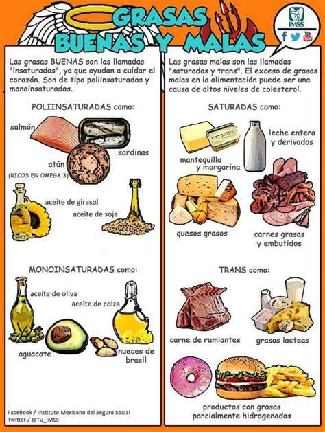 Esquema de las grasas buenas y malas
