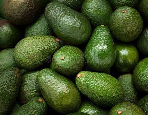 Aguacates frescos y maduros