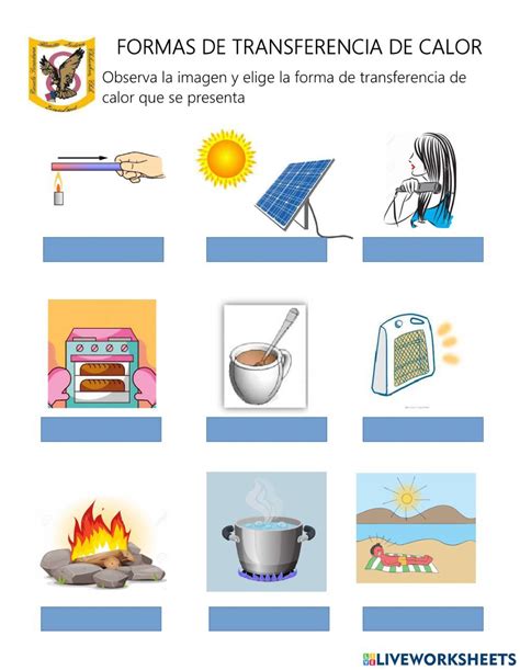 Iconos representando diferentes tipos de fuentes de calor para paelleras