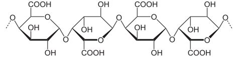 Estructura molecular de la pectina