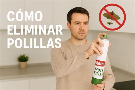 Infografía con pasos para limpiar la despensa y eliminar polillas