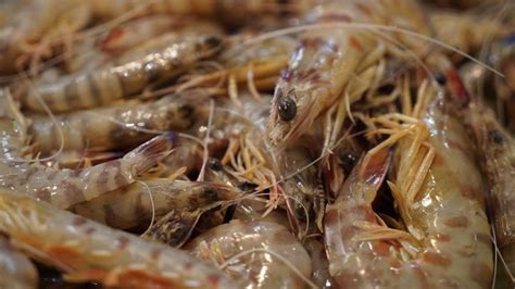 Tabla nutricional de los langostinos