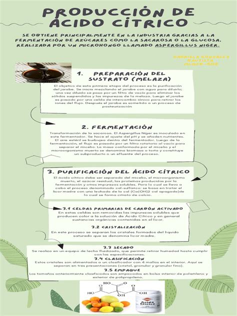 Producción mundial de ácido cítrico