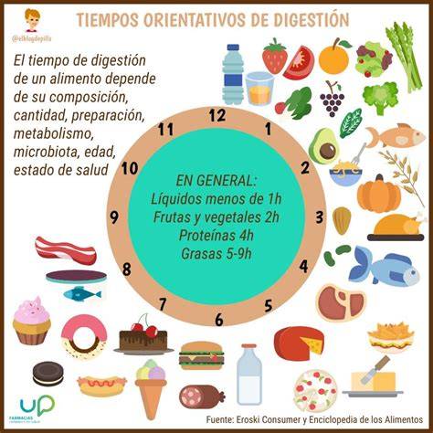 Infografía: Tiempo de digestión de diferentes alimentos antes del ejercicio