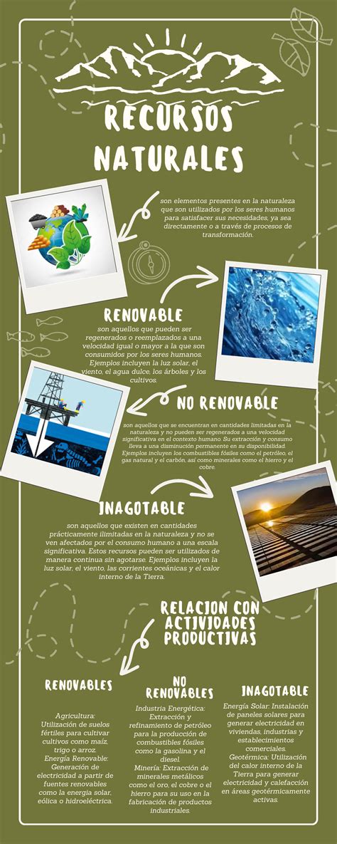 Infografía sobre los beneficios de los aceites naturales
