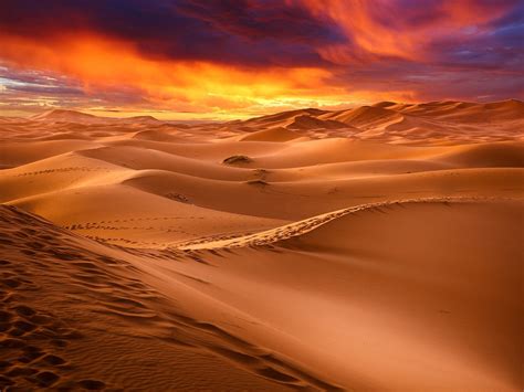 Paisaje panorámico de dunas en el desierto al atardecer