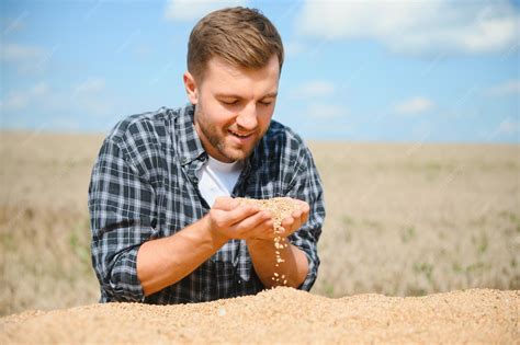 Un agricultor revisando la cosecha de legumbres en un campo soleado.
