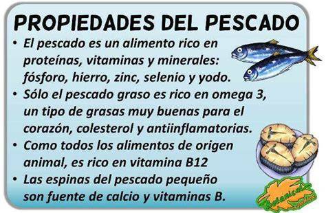 Tipos de pescado y sus propiedades nutricionales